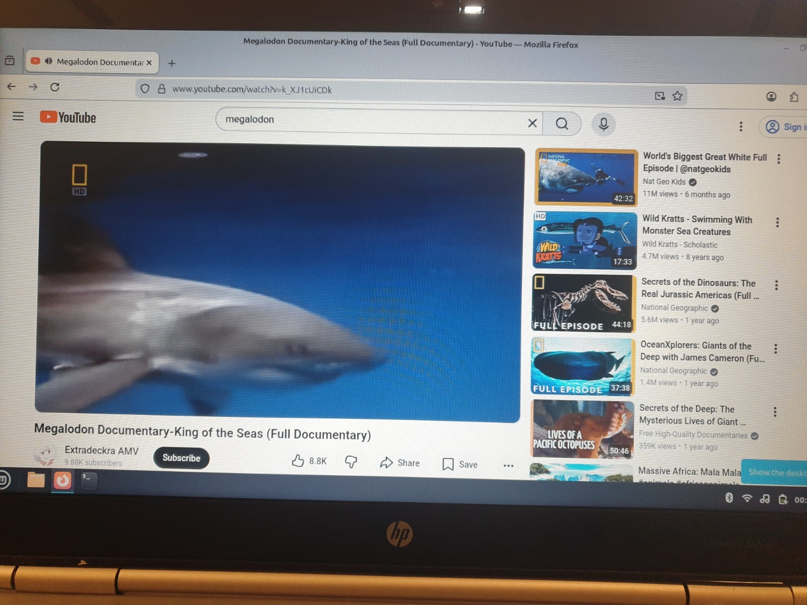 Linux Mint Cinnamon V22.3, 64-bit, Bootable Live and Install USB Flash Drive