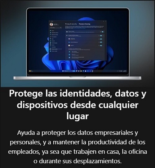 Sistema Operativo Microsoft Windows Pro 11, 64-bits All Languages PK Lic Online