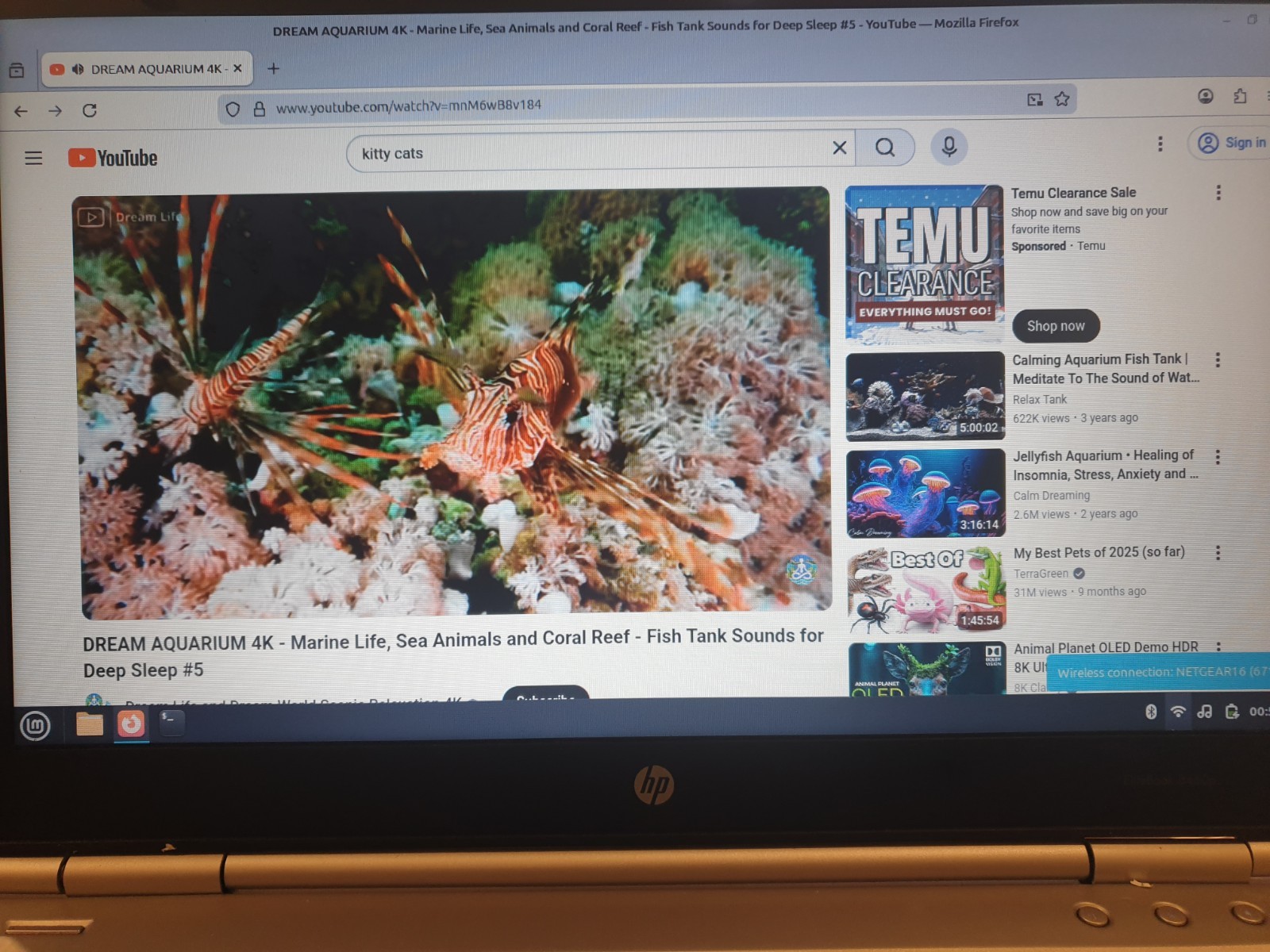 Linux Mint Cinnamon V22.3, 64-bit, Bootable Live and Install USB Flash Drive