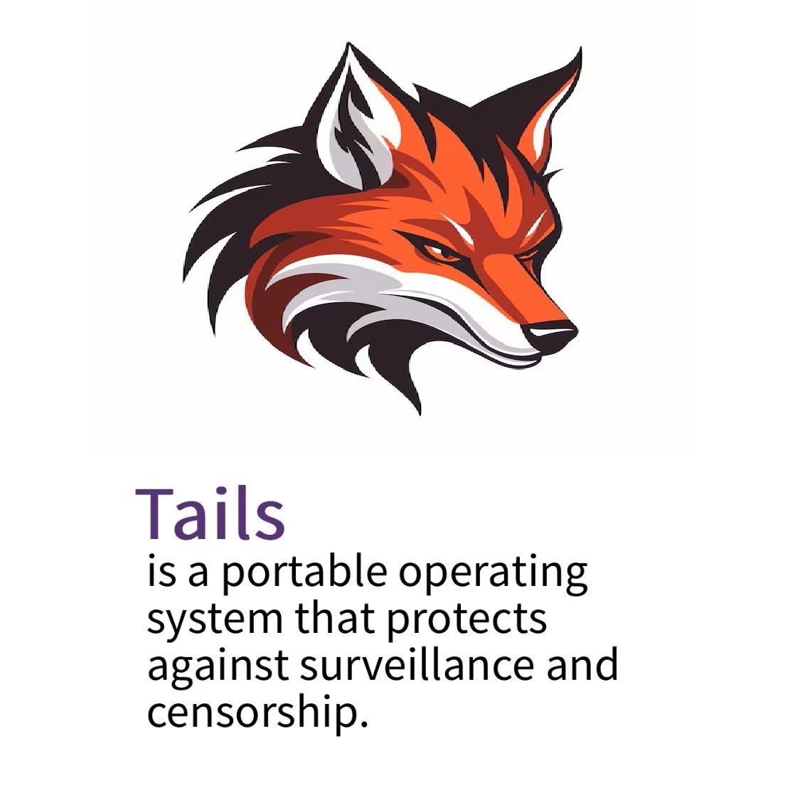 Linux Tails 6.17 ~ 64bit Safe Fast Secure Live Bootable Anonymous / Repair 32Gb
