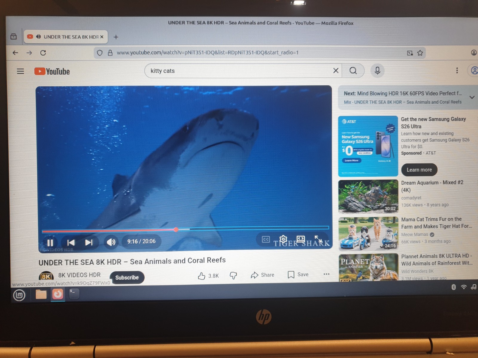 Linux Mint Cinnamon V22.3, 64-bit, Bootable Live and Install USB Flash Drive
