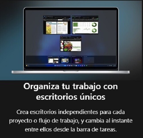 Sistema Operativo Microsoft Windows Pro 11, 64-bits All Languages PK Lic Online