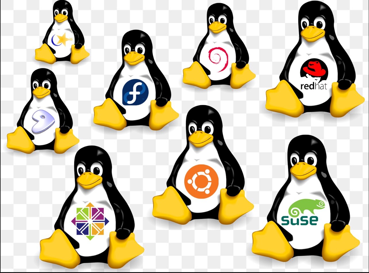 linux os usb bootable