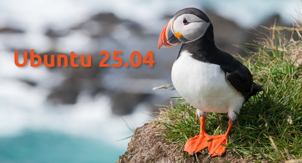 Ubuntu 25.04 Bootable DVD Set – Desktop & Server Edition – Same Day Ship CALI