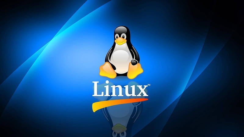 Kali Linux OS 64-Bit Live Bootable Network Penetration 9-23-2025 edition