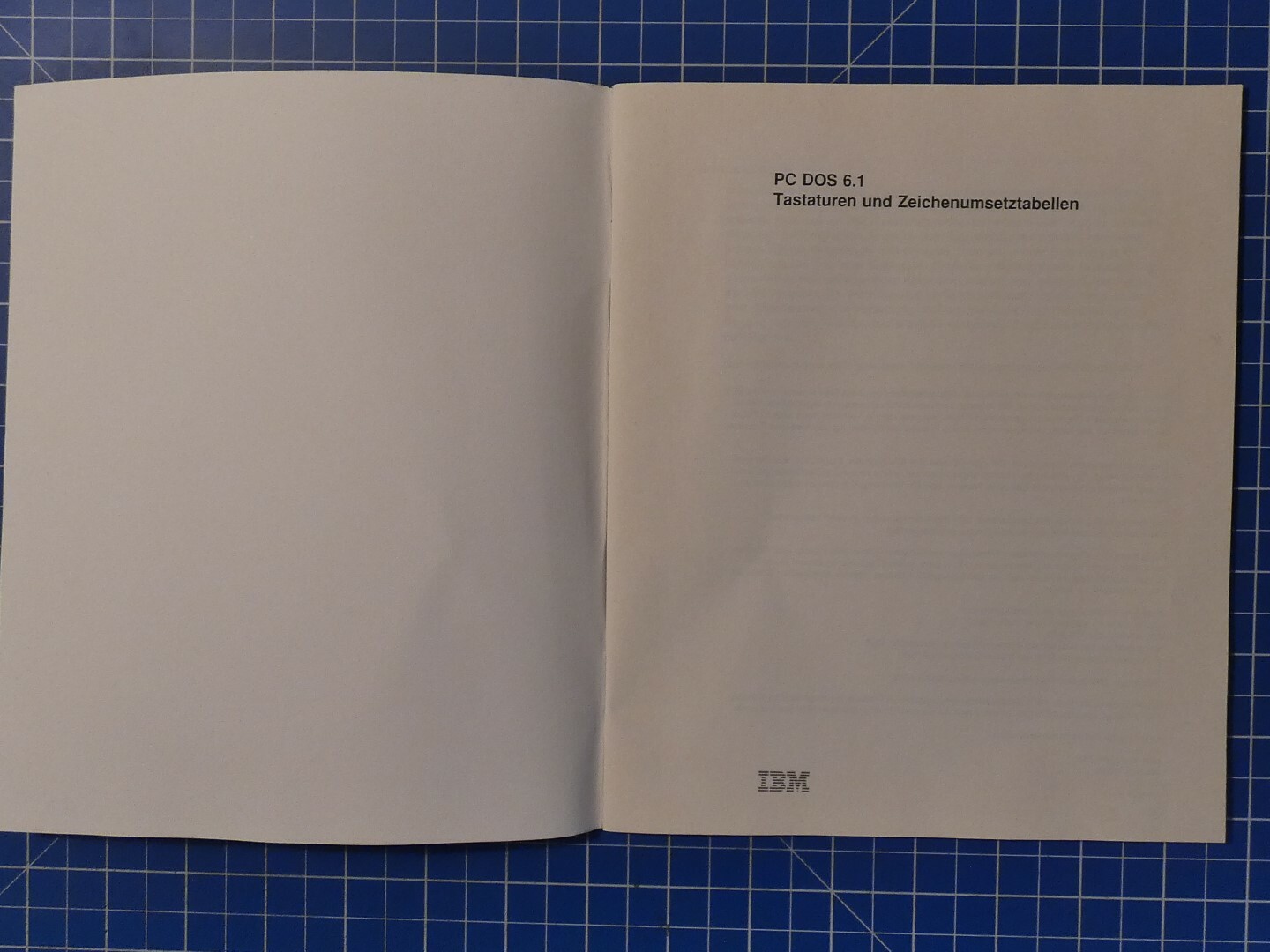 PC DOS 6.1 Tastaturen und Zeichenumsetztabellen IBM B19844