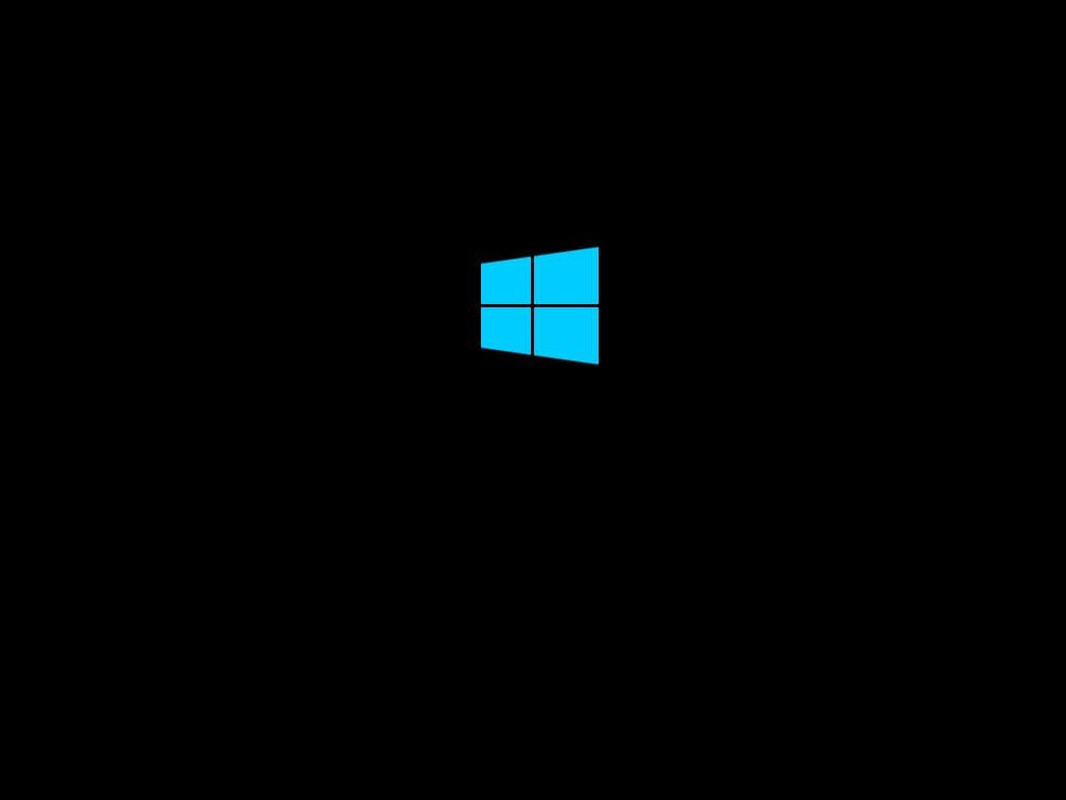 Win 11 Compatible Install, Repair & Recovery – Home & Pro Edition -64Bit Only