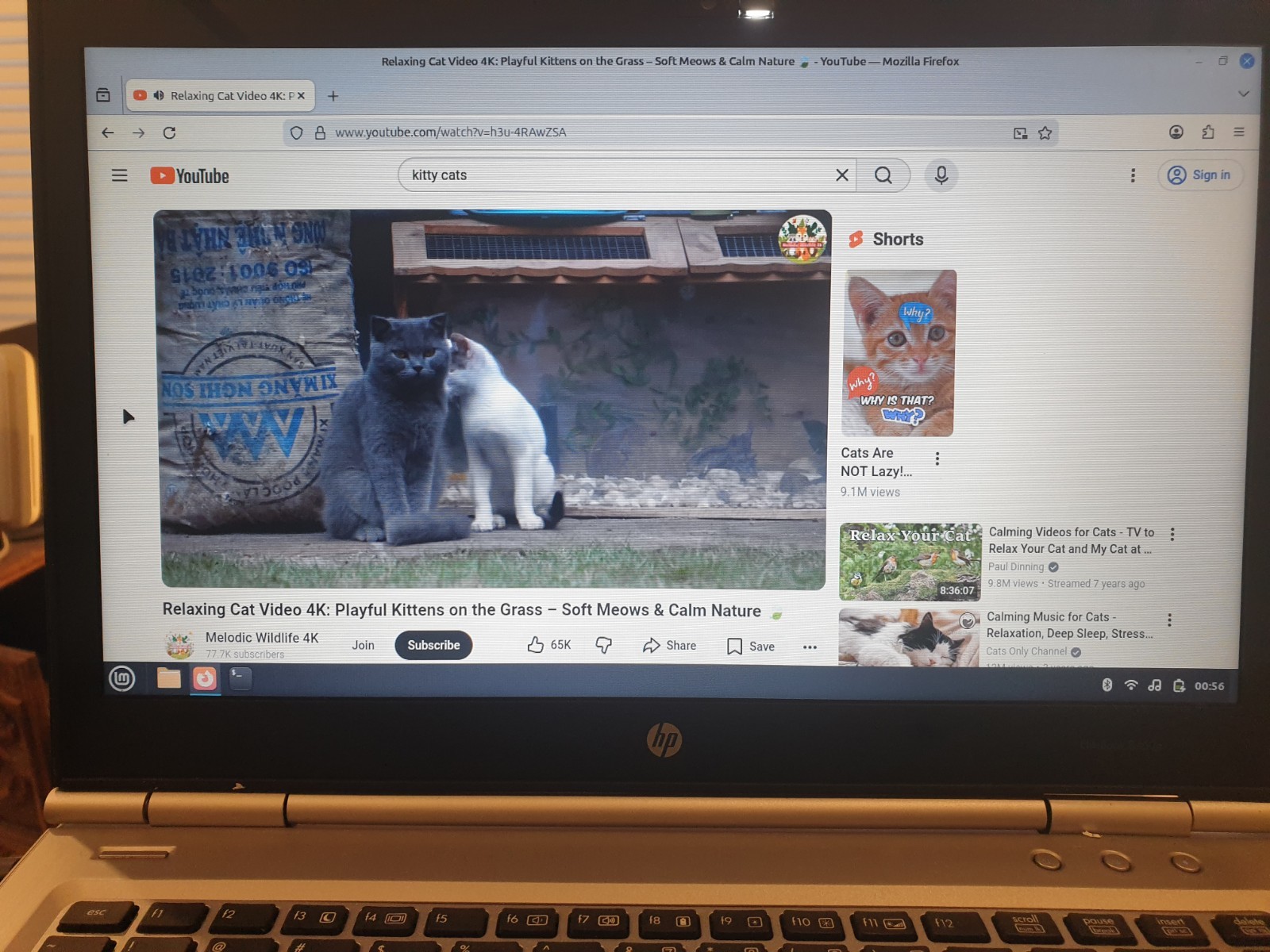 Linux Mint Cinnamon V22.3, 64-bit, Bootable Live and Install USB Flash Drive