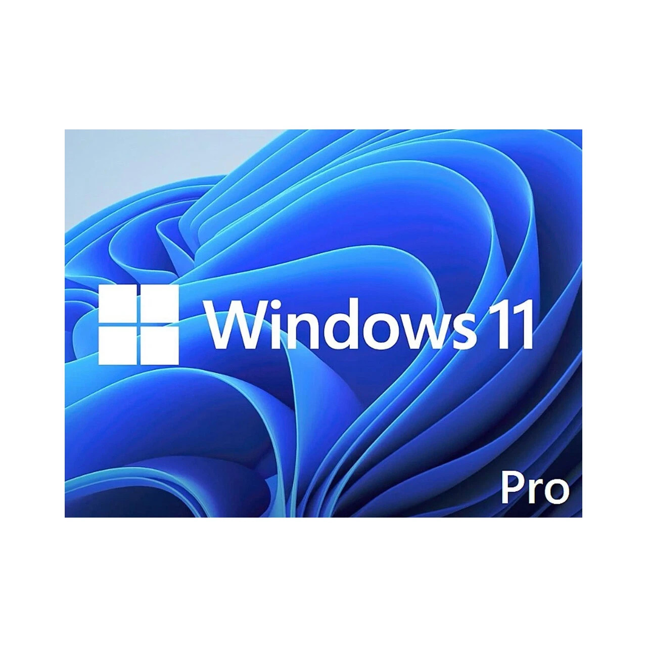Microsoft Windows 11 Pro 64 Bit 1PK DSP DVD (FQC-10529)