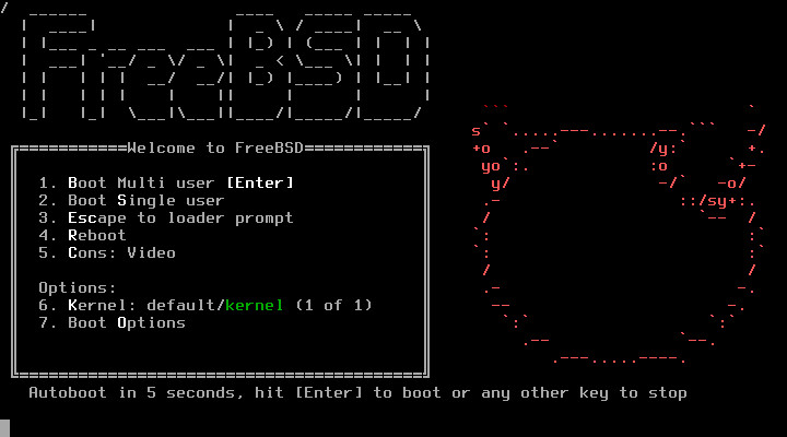 FreeBSD Latest Version Bootable USB Flash Drive Fast Melbourne Shipping 2026