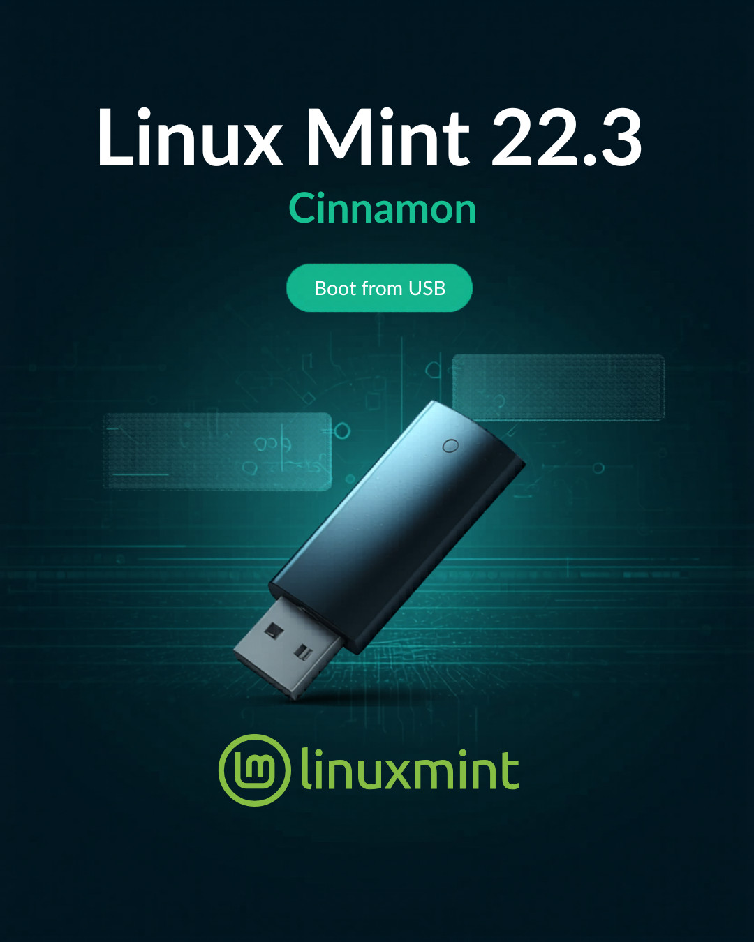 Linux Mint 22.3 Cinnamon 64-Bit Bootable USB Flash Drive – Live or Install 2026