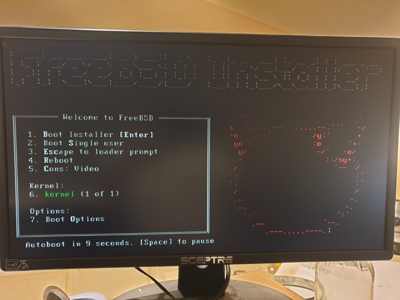 FreeBSD V15.0, 64-bit, Unix-like OS, Bootable Live and Install USB Flash Drive