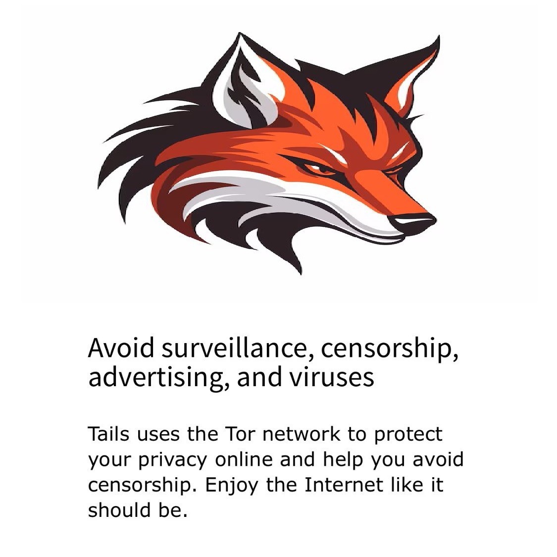 Linux Tails 6.17 ~ 64bit Safe Fast Secure Live Bootable Anonymous / Repair 32Gb