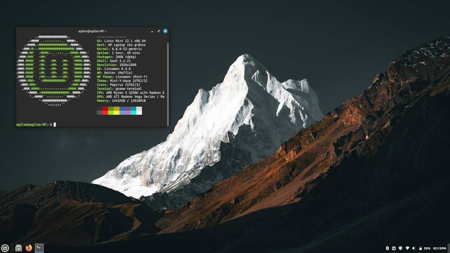 Linux Mint 22.1 Xia Cinnamon 6.8 ~ 64-bit Linux / Bootable / Live / Repair 32Gb