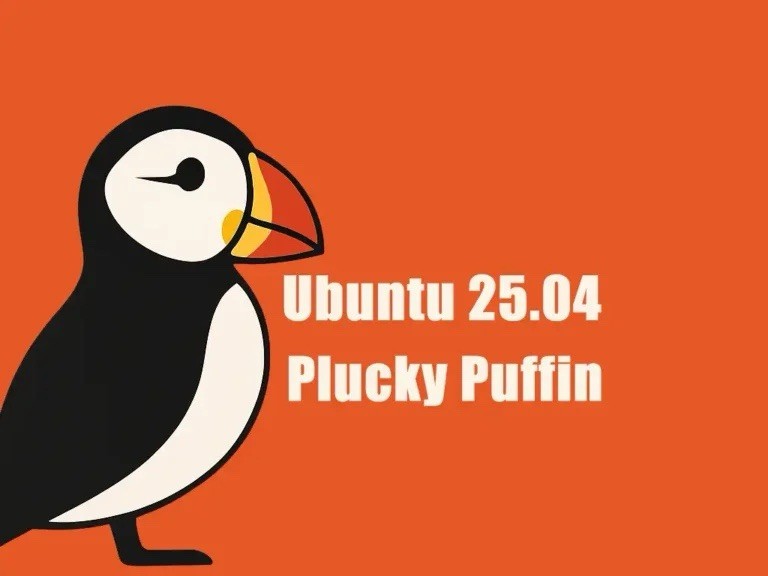 Ubuntu Desktop 25.04 Plucky Puffin USB Flash Drive