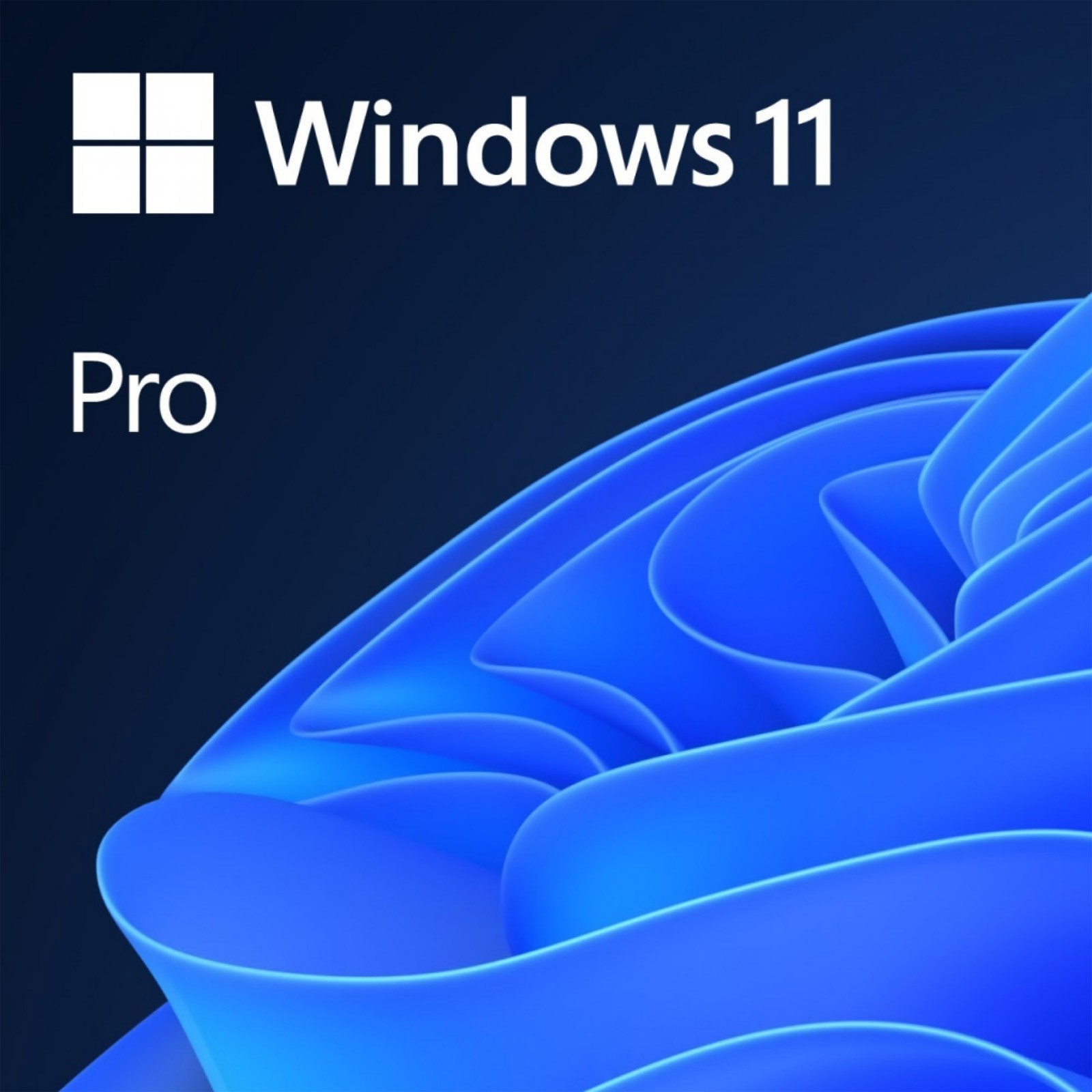 Microsoft Windows 11 Pro 64-bit for Workstations License 1 License HZV00102