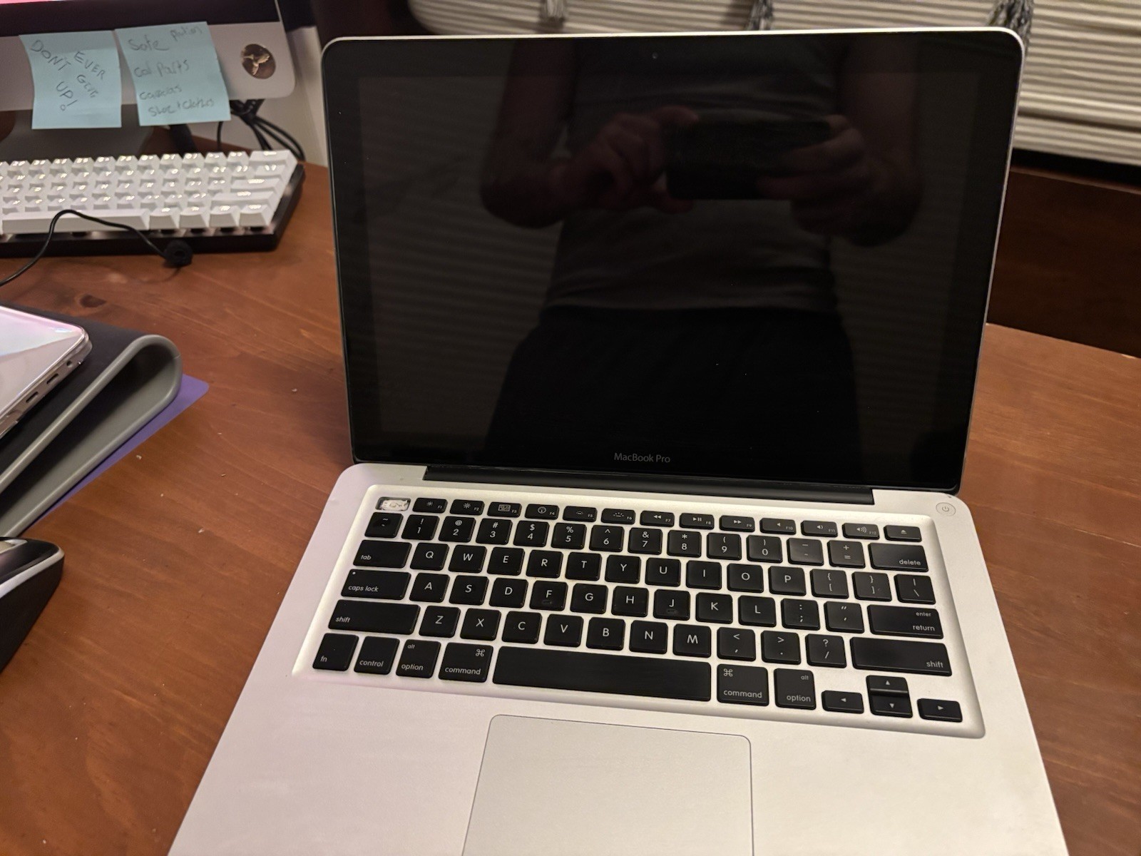 Apple And Windows Lot