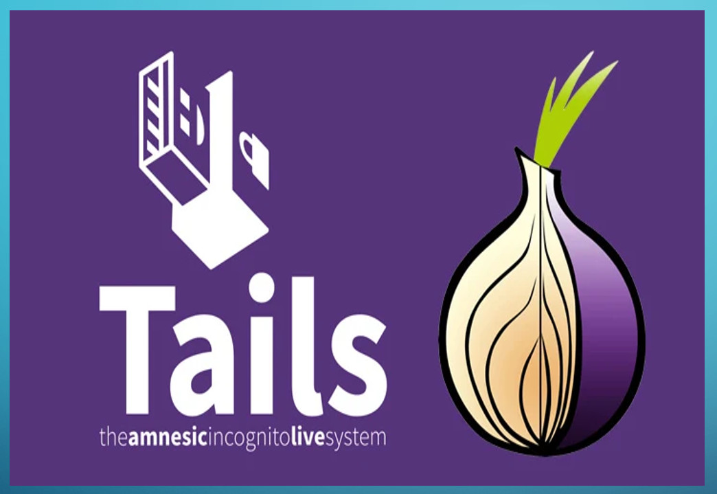 Tails Linux 6.9 USB Drive Live Bootable