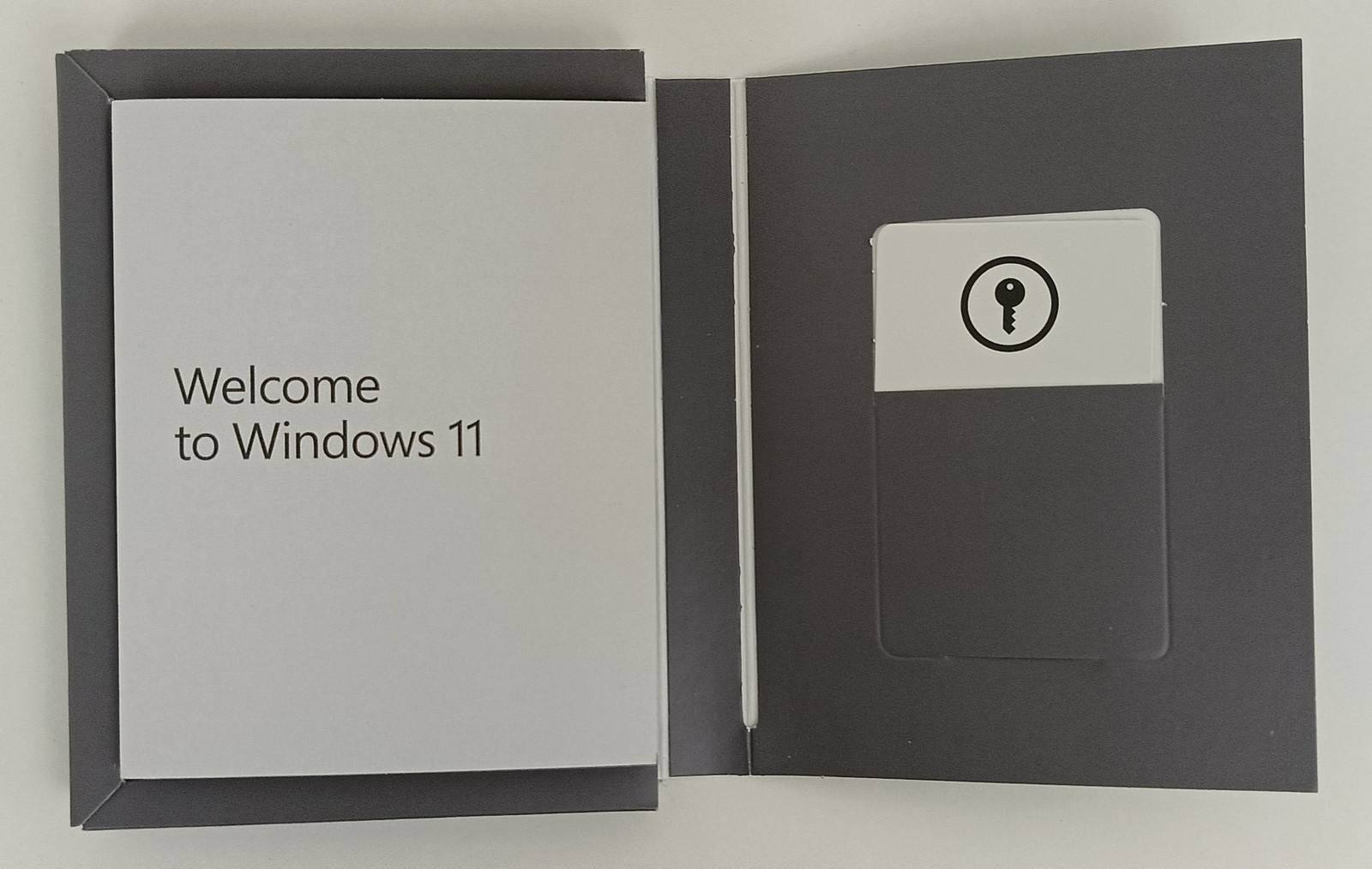 Microsoft Windows 11 Home + USB Flash Drive English 64-bit Physical English