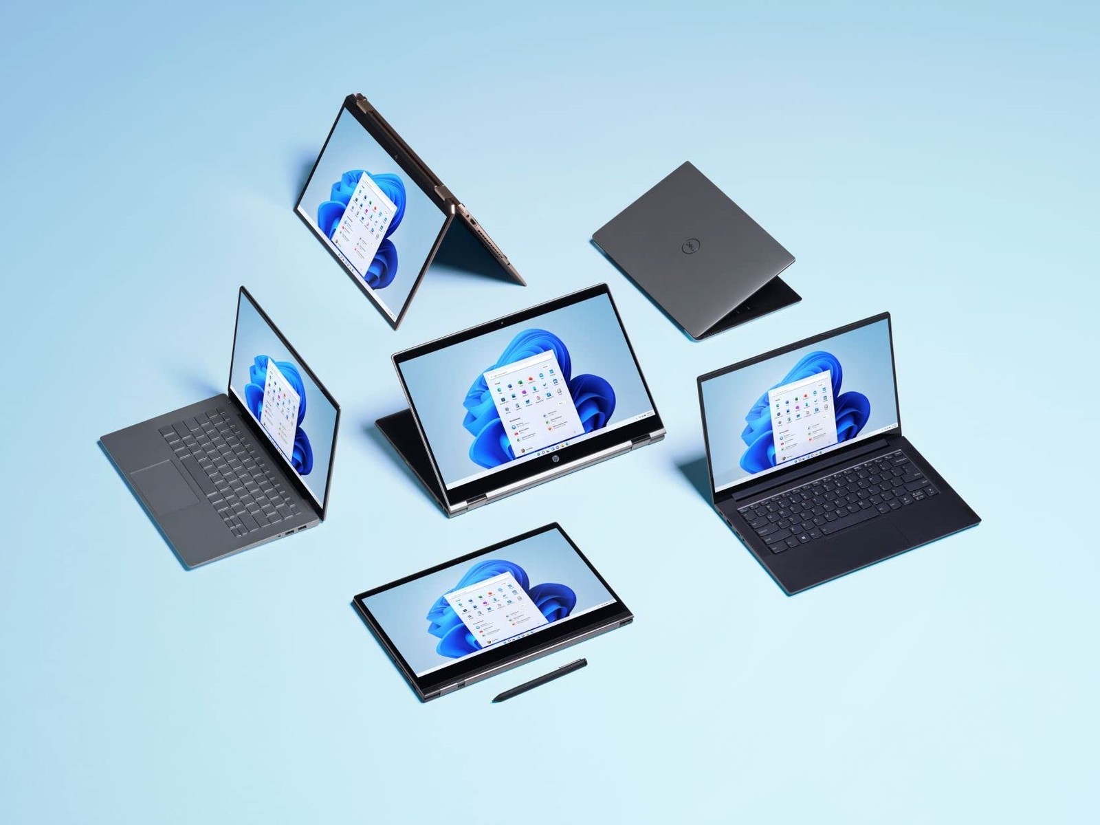 Microsoft Windows 11 Pro 64-bit for Workstations License 1 License HZV00102