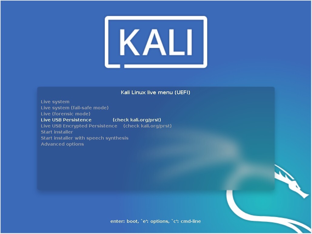 Kali Live USB 3.0 64GB with Persistence
