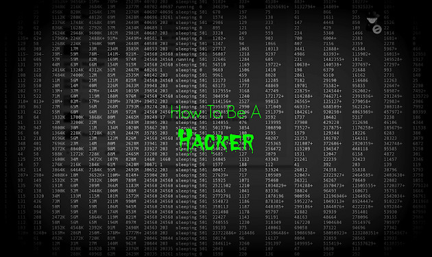 LEARN TO HACK ALL TOOLS YOU NEED FOR YOUR PC – 2500+ TOOLS HACK ANY PC BRUTE !!*