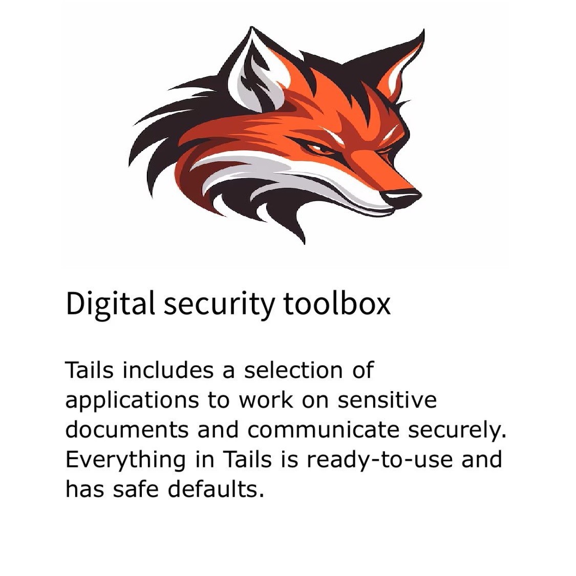 Linux Tails 6.17 ~ 64bit Safe Fast Secure Live Bootable Anonymous / Repair 32Gb