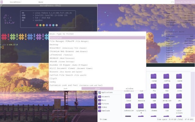 Fedora LXDE Live Install DVD | Latest 2025 Version Same-Day Shipping California