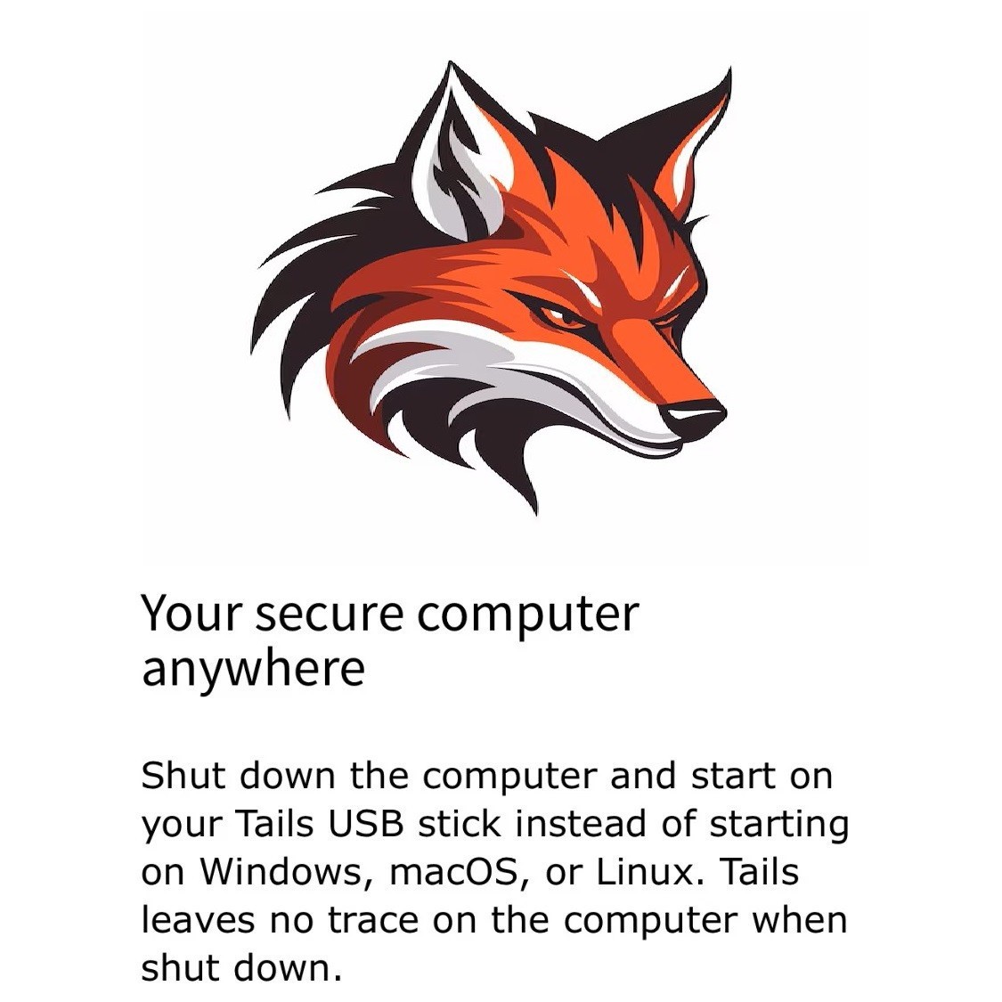 Linux Tails 6.17 ~ 64bit Safe Fast Secure Live Bootable Anonymous / Repair 32Gb