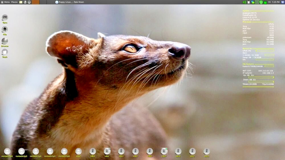 Puppy Linux OS – Runs Smooth – Small Footprint – Loads in Memory – LIVE DVD