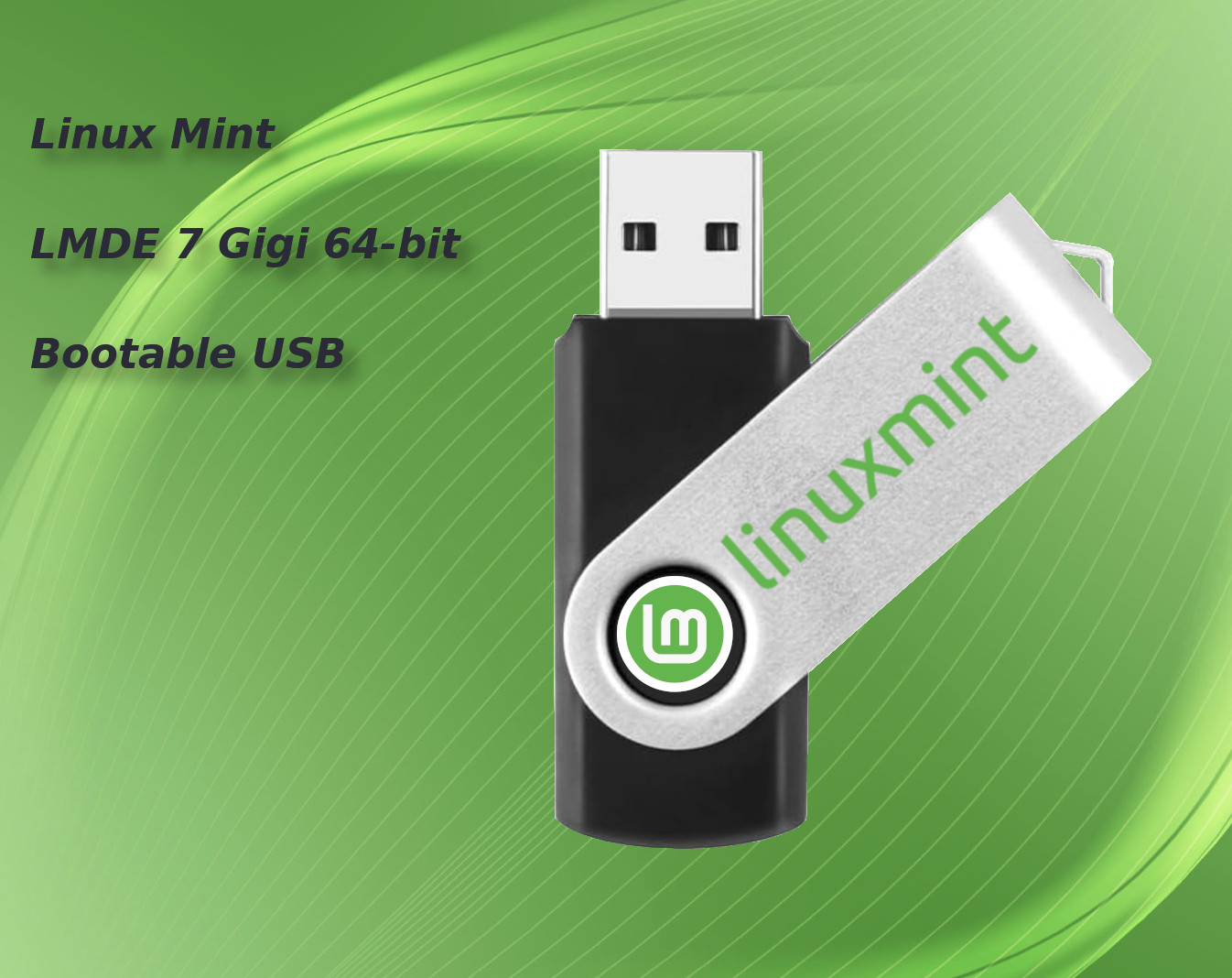 Linux Mint LMDE 7 Gigi Debian Edition 64-bit Bootable/Live USB Flash Drive