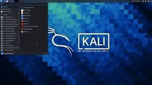 Kali-Linux 2026.1 Live version on 3.1 16 Gig USB Drive