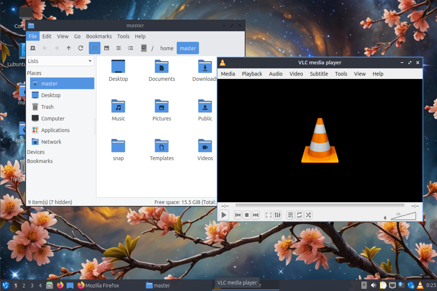 Lubuntu 25.04 (Plucky Puffin) Bootable LIVE/Installer DVD Ultra-Lightweight, OS