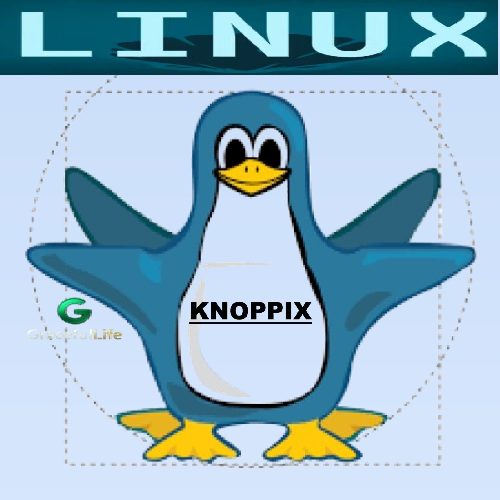 KNOPPIX Linux OS 64-Bit Bootable Software ~ Rescue, testing, No install needed