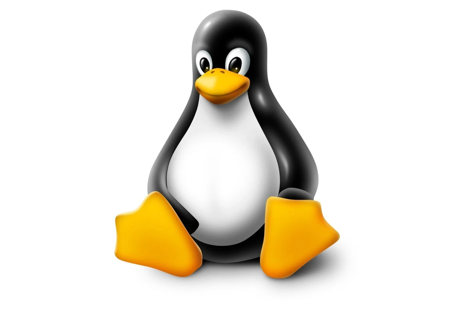Bluestar Linux 64-Bit Live Install Bootable OS Software 10-15-2025 edition