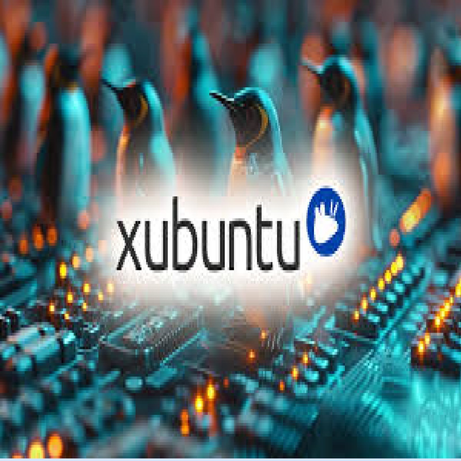 XUBUNTU DESKTOP 2025 Linux OS 64-Bit Live Install Bootable Software
