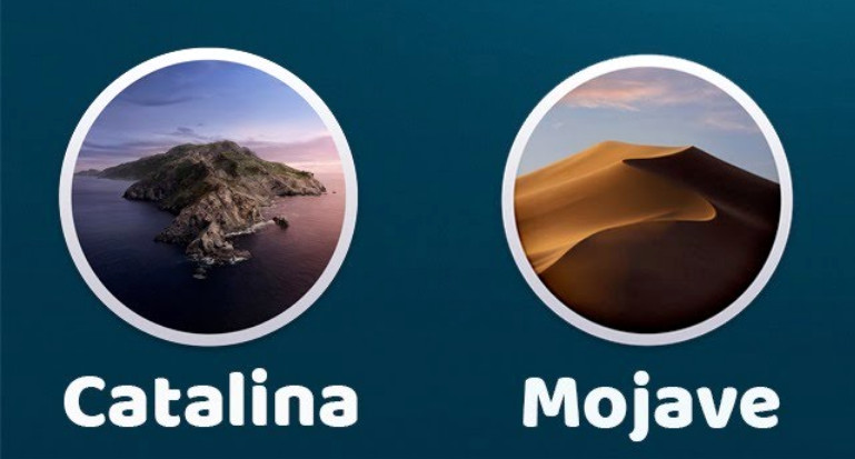 Mac Pro 3,1/4,1/5,1 Bootable 2-in-1 USB Installer Mojave Catalina