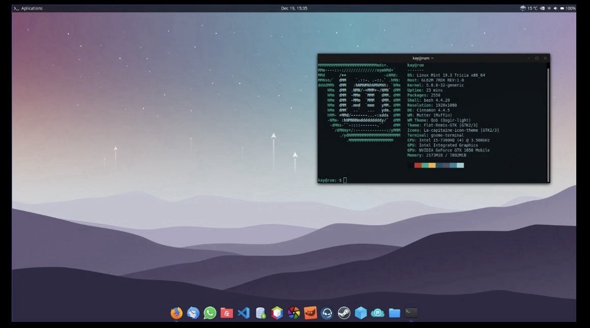 Linux Mint 19.3 Tricia Xfce 32-bit Live CD Boot DISC Revive your old PC FAST!