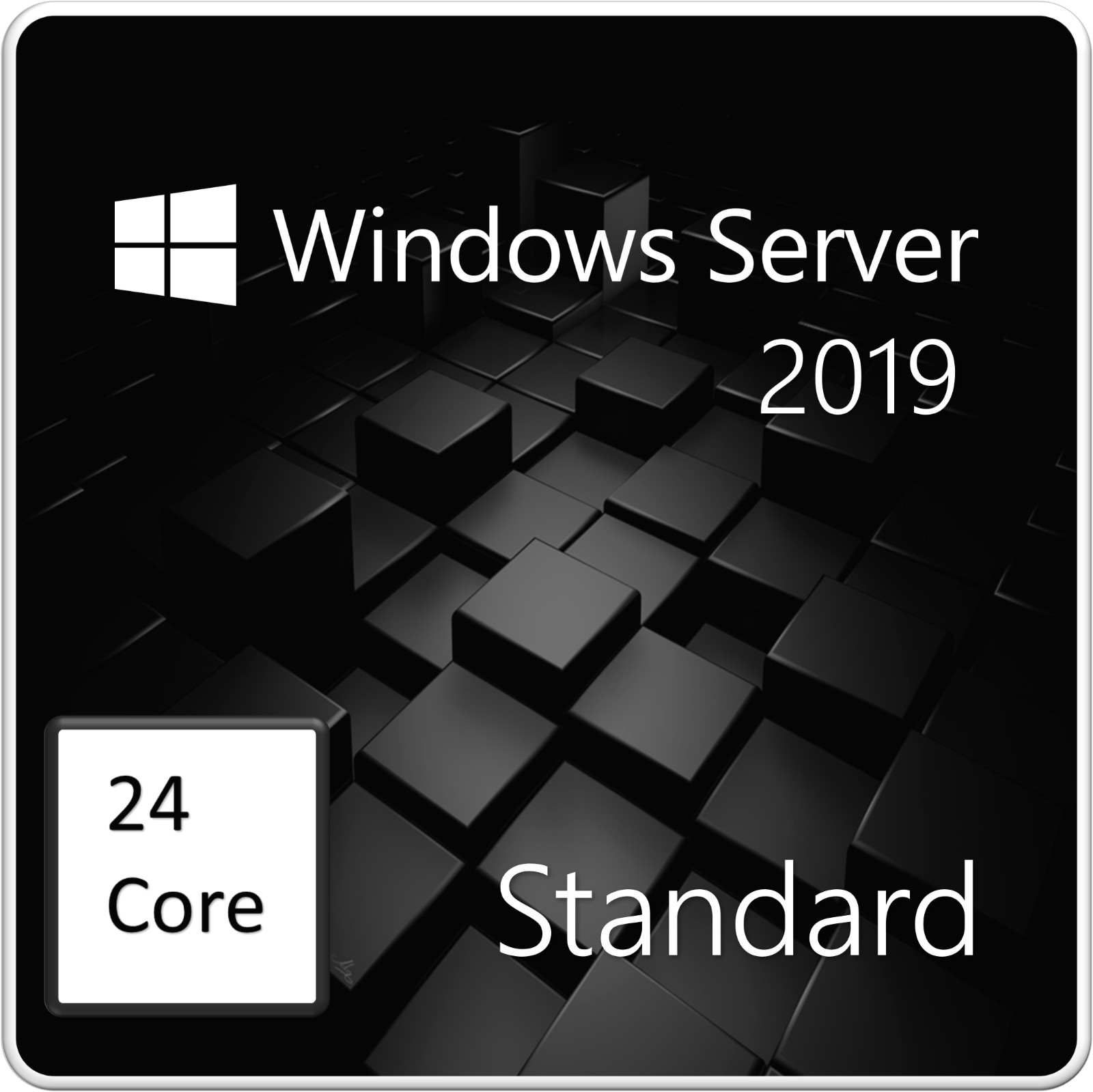 Windows Server 2019 Standard Edition – 24 Core License Pack – DVD Installation