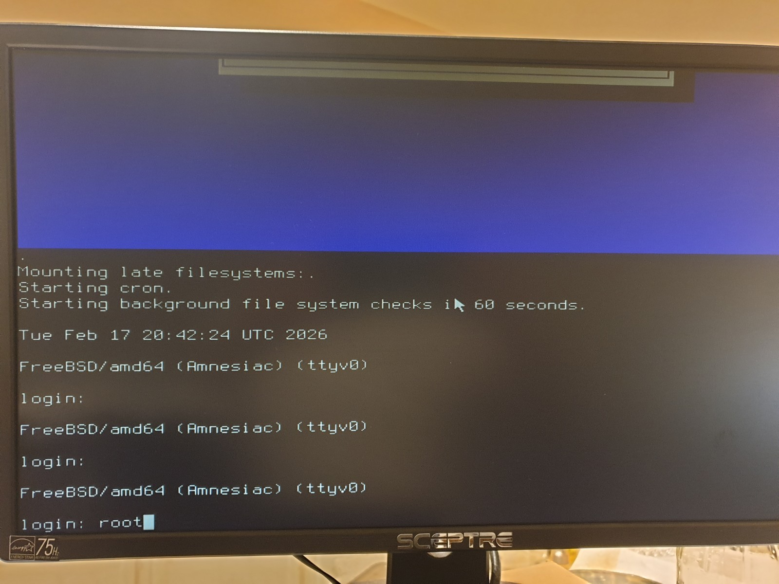 FreeBSD V15.0, 64-bit, Unix-like OS, Bootable Live and Install USB Flash Drive