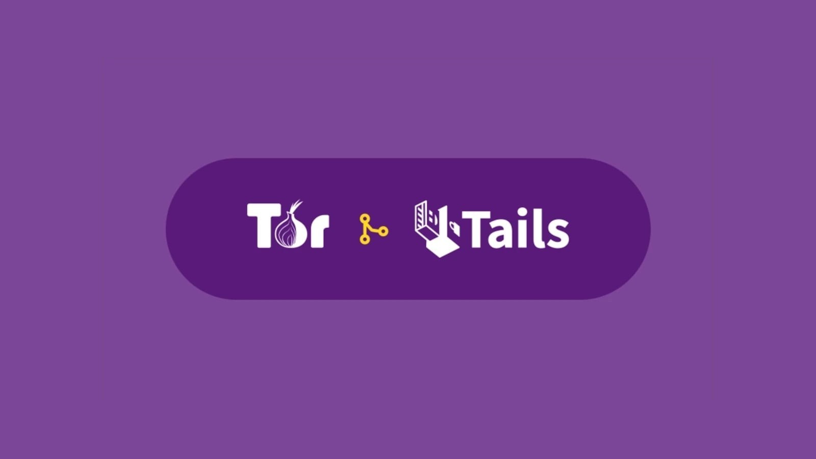 Tails Linux 7.3 OS 64 Gb USB-A 3.2 To USB-C Bootable FlashDrive