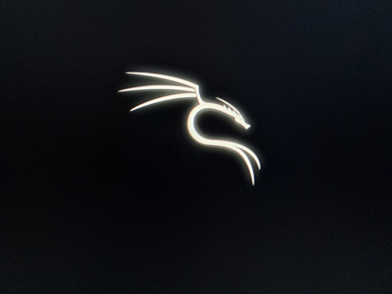 Kali linux 64bit live sistem usb brand new secure