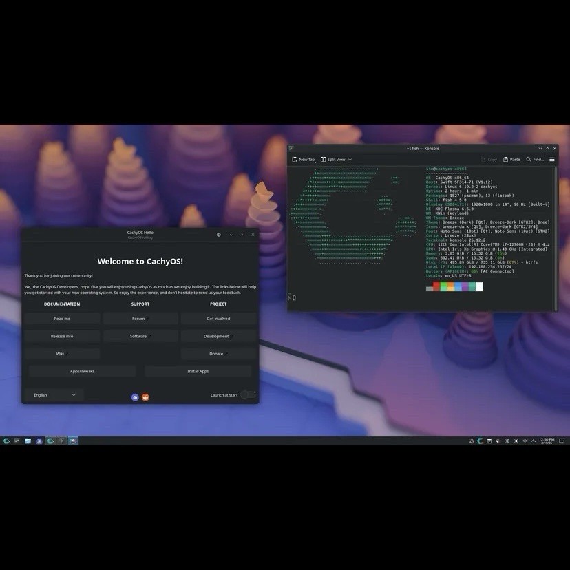Cachy OS Linux Bootable USB Drive | Live Installer | 32GB 3.2