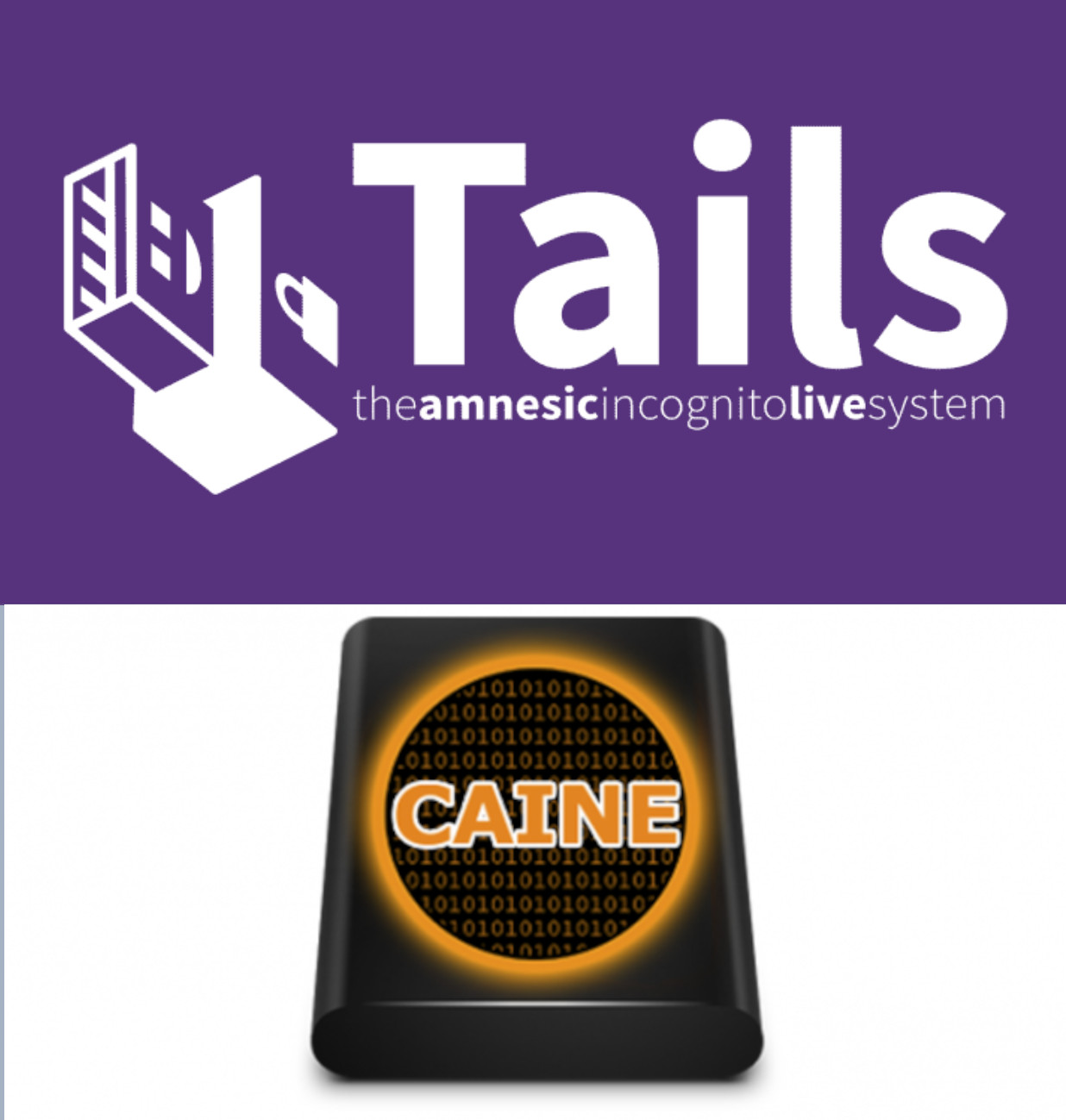 Privacy & Security suite with Caine Linux and Tails on DVD or USB Flash drive