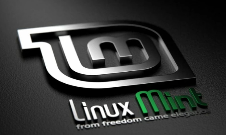 Linux Mint 21.4-in-1 USB Bootable Drive with Cinnamon, Mate, XFCE, and Edge 32GB