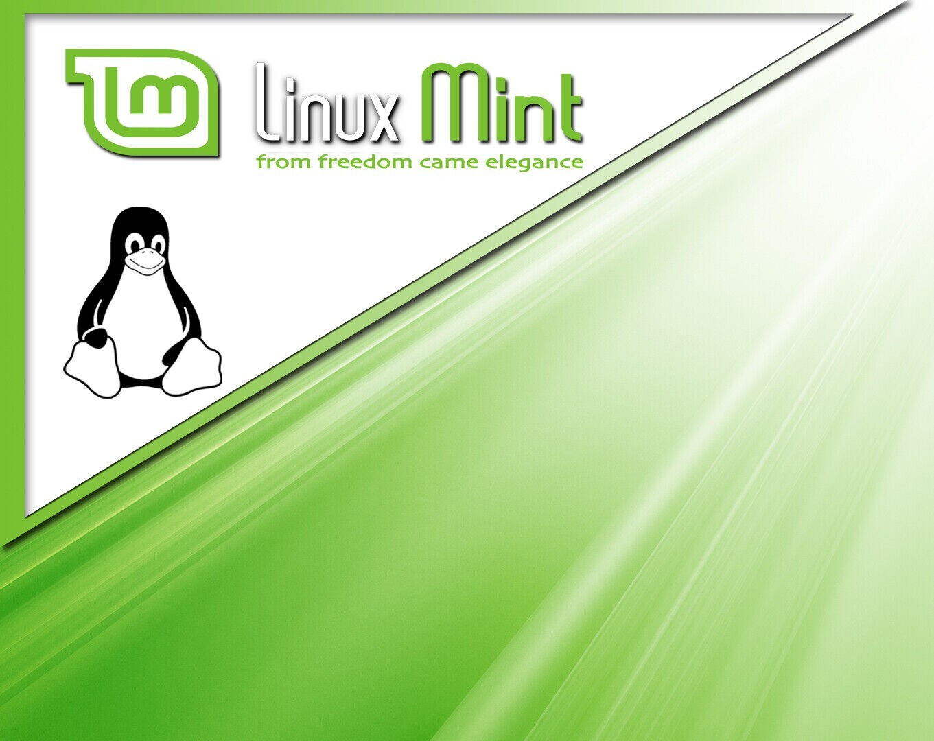 Mint 21.3 Cinnamon Linux PC Linux PC Bootable USB Flash Drive READY