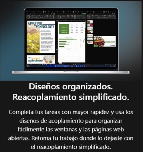 Sistema Operativo Microsoft Windows Pro 11, 64-bits All Languages PK Lic Online