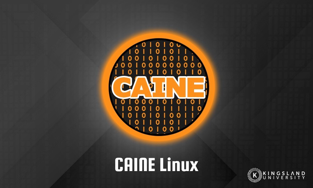 CAINE 13 Warp Forensic Environment Linux OS | 64Bit | Live Boot USB/DVD | MAC/PC
