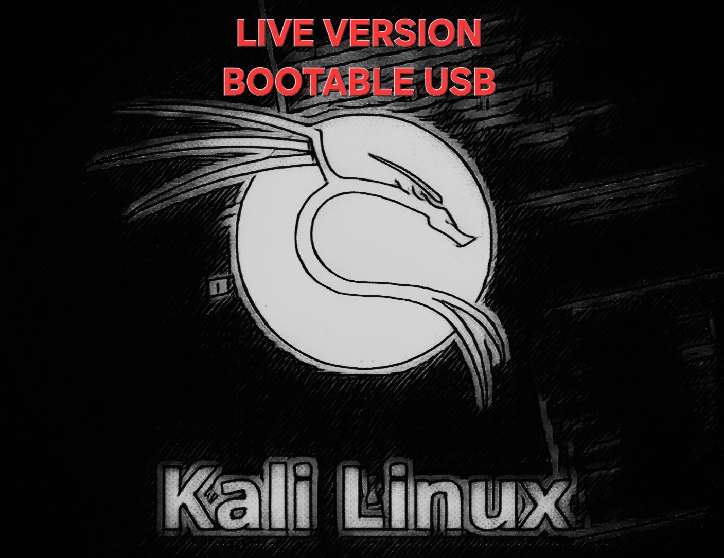 Kali Linux OS Live USB