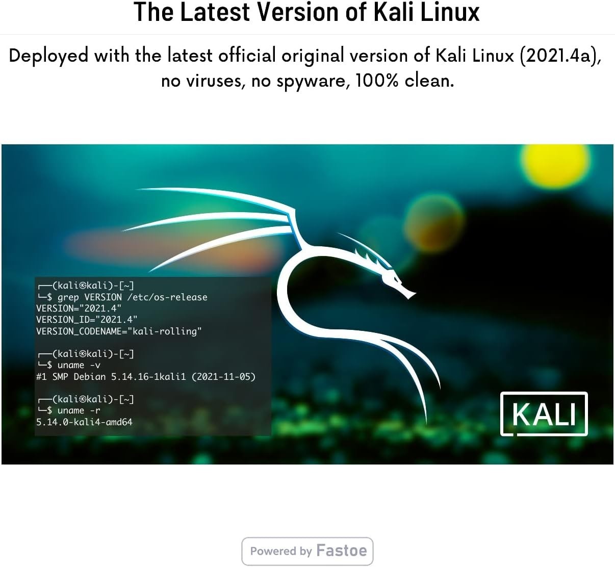 Kali Linux 64-bit Bootable Live USB Flash Drive
